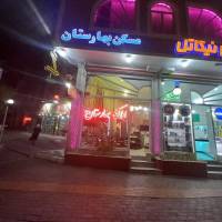 مشاور رامین  پروفایل