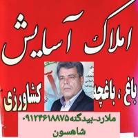 فاطمه امان الله زاده پروفایل