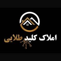 پوریا محمدپور پروفایل