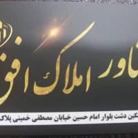 حامد شیری پروفایل