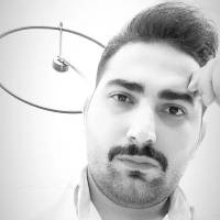 امیر محمد محبی پروفایل