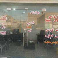 بهزاد ذکوی پروفایل