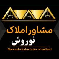 هادی نوروش پروفایل