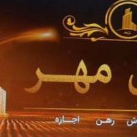 امیر محمد شیرعلی پروفایل