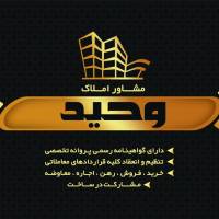 وحید قاسمی پروفایل