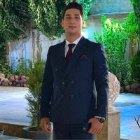 محمد اربابی پروفایل