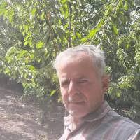 شعبان شعبانی پروفایل