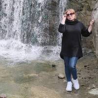 هلدینگ شمال پروفایل