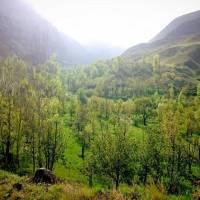 هادی رادپیشه پروفایل