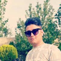 پویا یحیائی سنگانی پروفایل