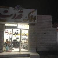 علی نصاری پروفایل