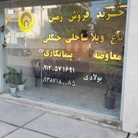 مهدی پولادی پروفایل
