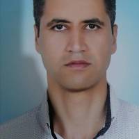 رضا فتحی قشلاقی  پروفایل