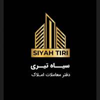 امیر سیاه تیری پروفایل