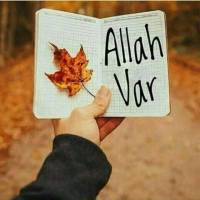 مولاپسند پروفایل