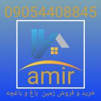 امیر پاکدل پروفایل