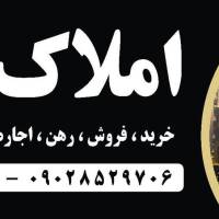امید زاهدی نژاد  پروفایل