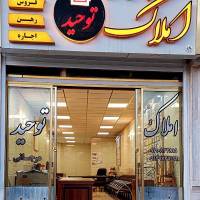 مرجانی پروفایل