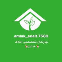 عارف دودانگه پروفایل