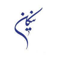 نیکان سلیمی پروفایل