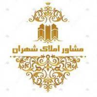 امیر کریمی پروفایل