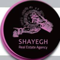 حیدر عبادی بشیر پروفایل