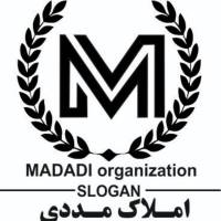 علی فرزانه  پروفایل