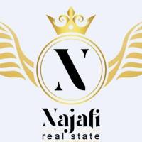 سعید نجفی پروفایل