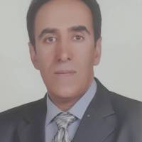 بابک شکوری پروفایل