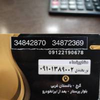 مجتبی نورمحمدی  پروفایل