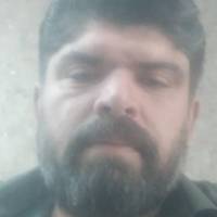 حمید محمدی پروفایل