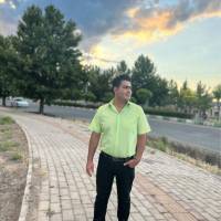 سعید زینالی پروفایل