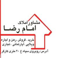 علی انصاریان پروفایل