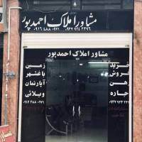 محمد احمدپور پروفایل