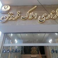 شایان حاجی پروفایل