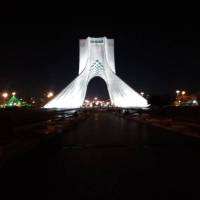 علیرضا امینی یکتا پروفایل