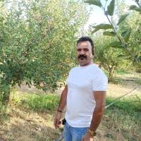 ابراهیم والی پروفایل