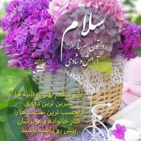غدیرشهرخدامرادسنچولی پروفایل