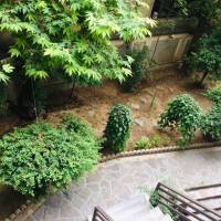 مشاور زهره زارعی پروفایل