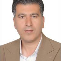 محمد روشنایی املاک بزرگ ارم  پروفایل