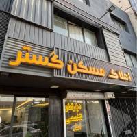 سینا حیدری هلشی پروفایل