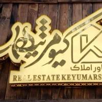 محمود لشگری نیا پروفایل