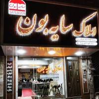 مهدی اربابی پروفایل