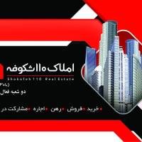 محمد قاسم دباغ کلهری پروفایل