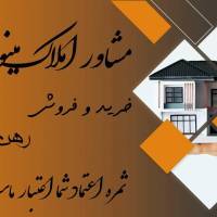 مینودشت پروفایل