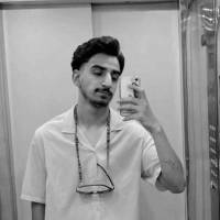 محمد حسین حمزه علی پروفایل