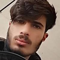 امیرحسین مشهدی ازغندی پروفایل