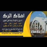 احسان ساده پروفایل