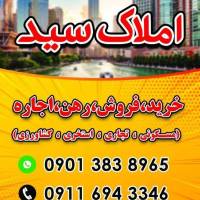 سید رضا میرداراب پروفایل