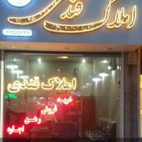 سعیدقندی پروفایل